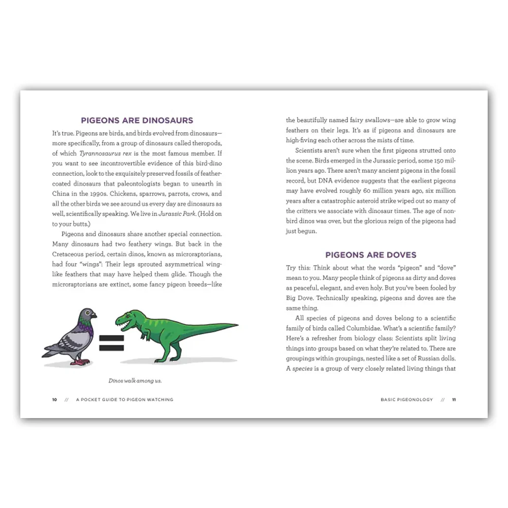 A Pocket Guide to Pigeon Watching - Image 3