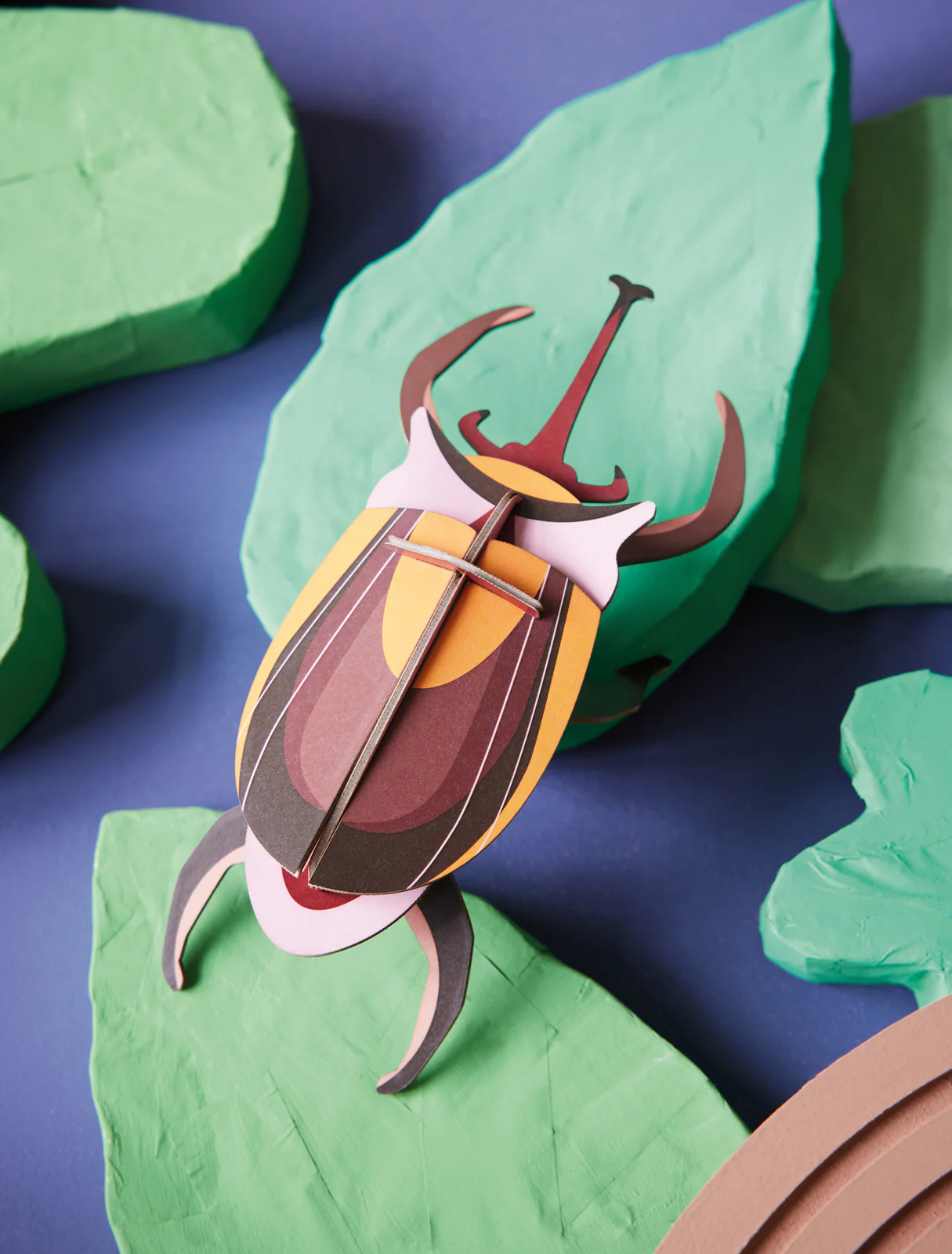 Elephant Beetle - Image 2