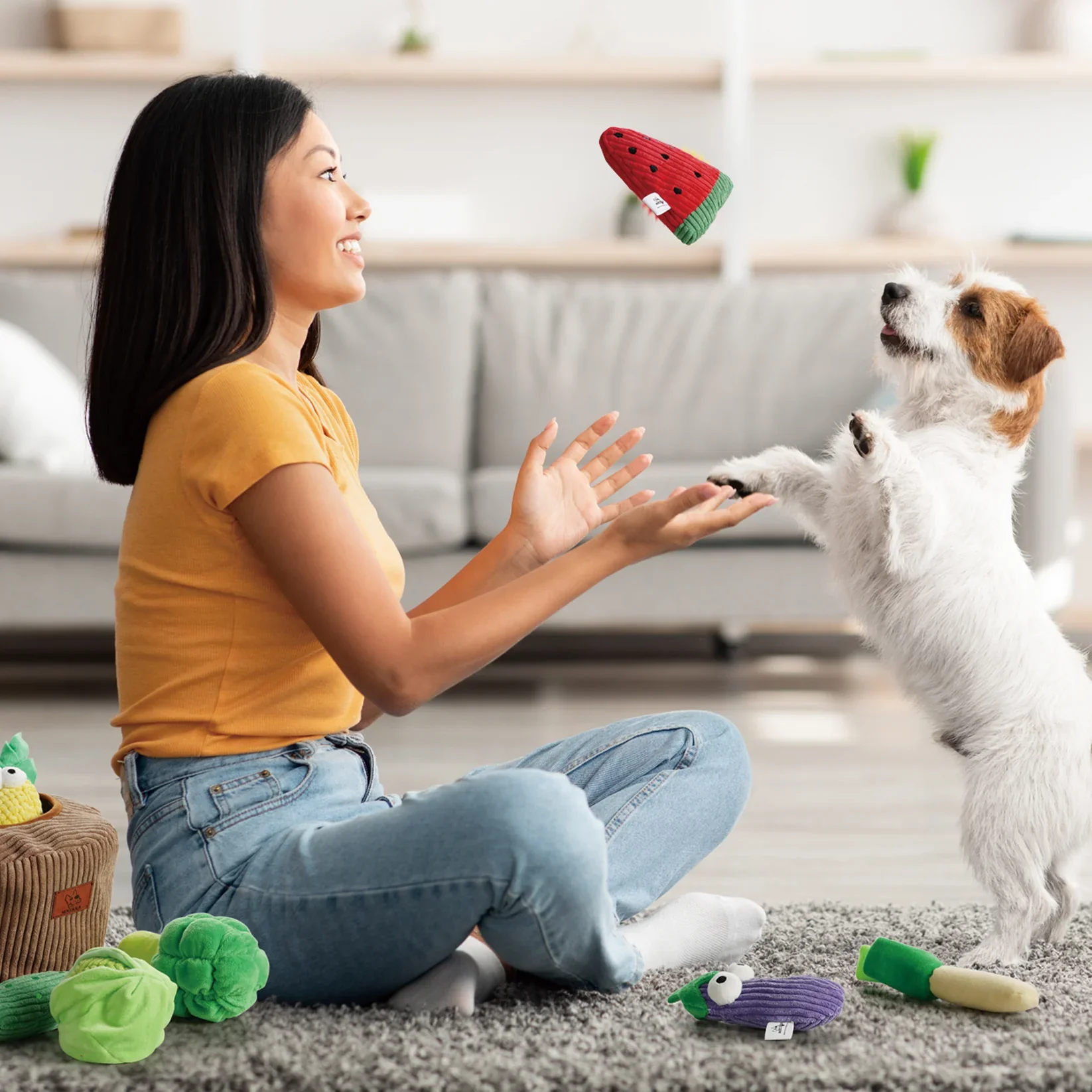 Grocery Bag Dog Squeaky Toy 15 pc - Image 5