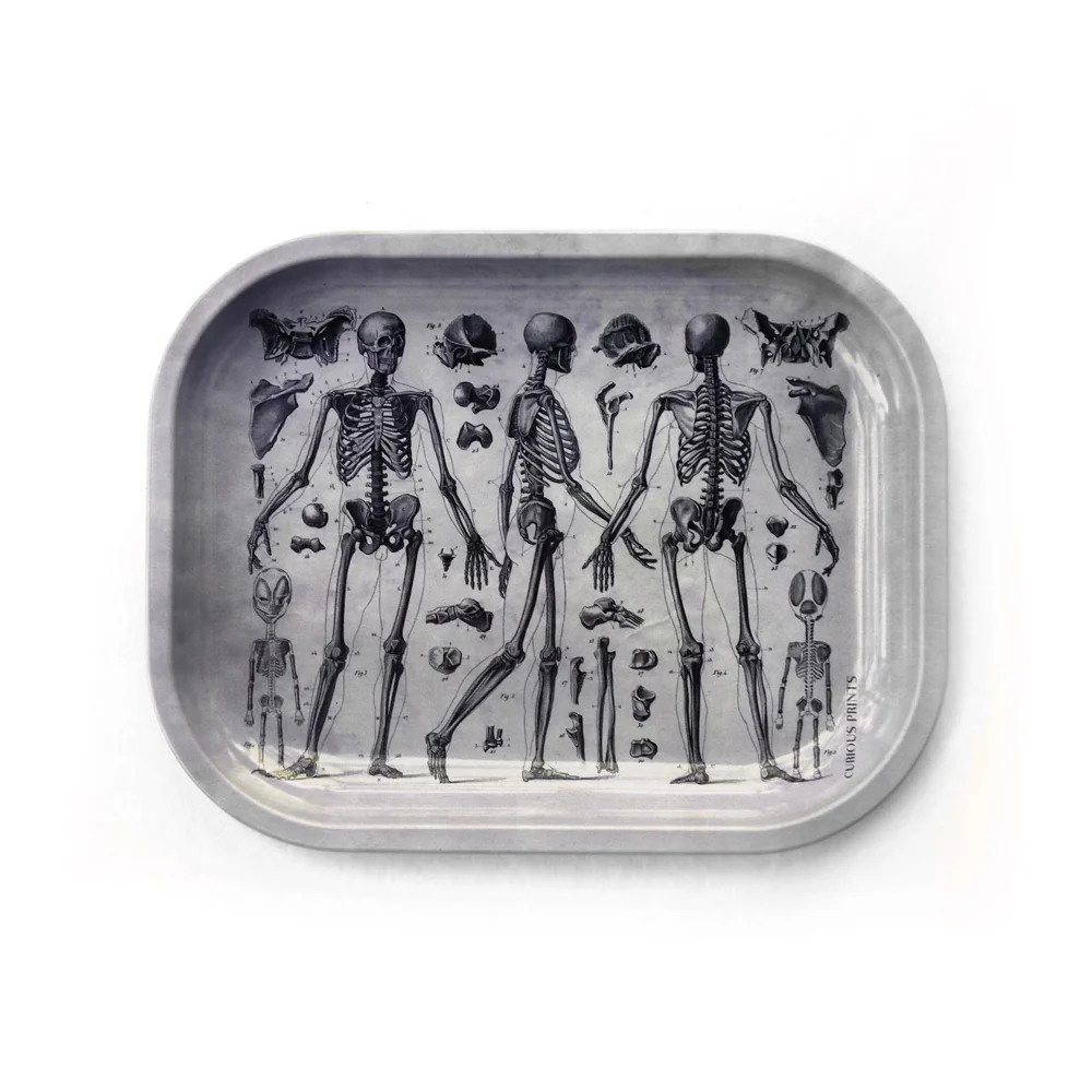 Metal Skeleton Diagram Tray