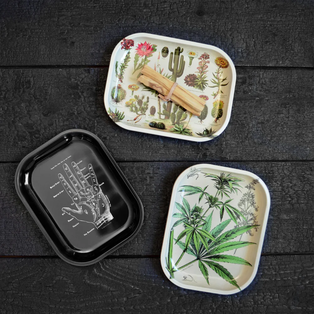Metal Skeleton Diagram Tray - Image 4