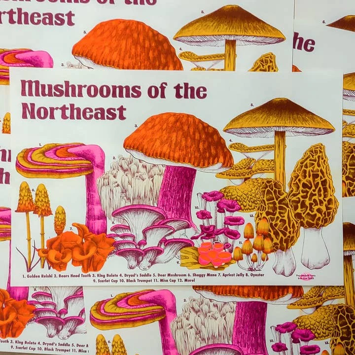 Mushrooms of the Northeast Print