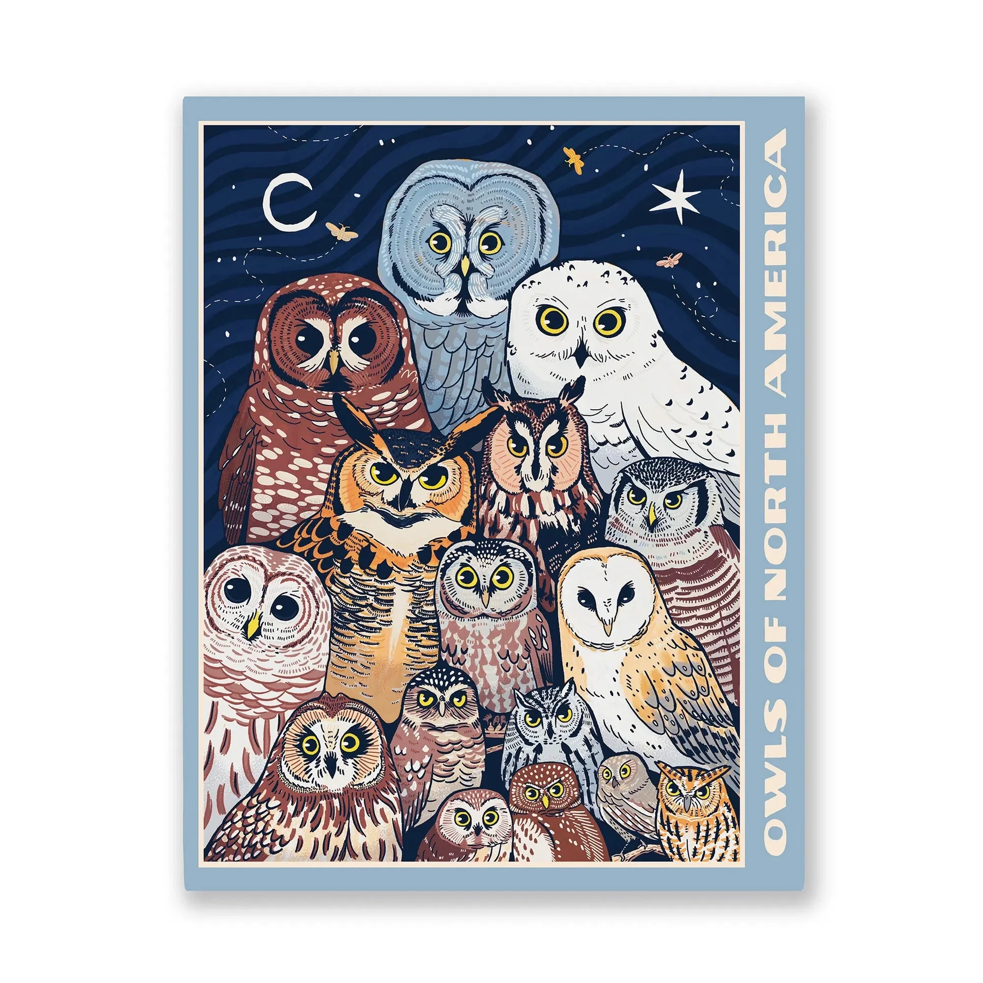 Owls of North America Puzzle - Image 2