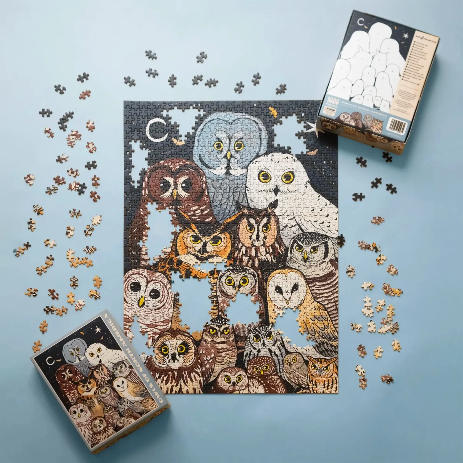 Owls of North America Puzzle - Image 4
