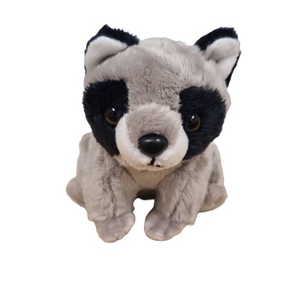 Rascal the Canned Raccoon - Image 2